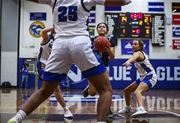 Image result for Dieruff Basketball
