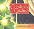 Image result for Blast Cricket Christmas