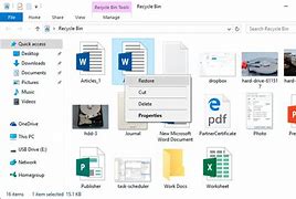 Image result for Recycle Bin Laptop