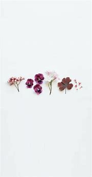 Image result for White Flower iPhone Wallpaper