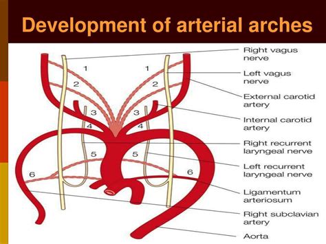 Image result for Recursive Algorithm Definition