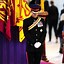 Image result for Prince Harry Funeral