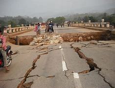 Image result for Earthquake in Forest