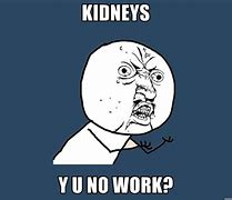 Image result for Kidney Say Hello Meme