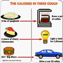 Image result for 100000 Calories
