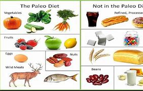 Image result for Paleo Diet Basics