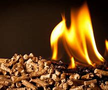 Image result for Biomass Burning
