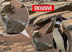 Image result for Penguin On Mars