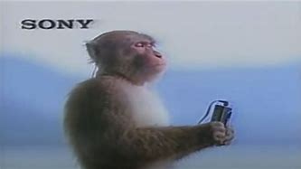 Image result for Sony Walkman Monkey