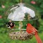 Image result for More Birds Store Feeders