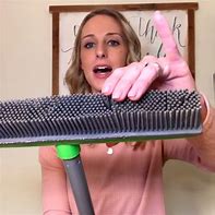 Image result for Broom for Cleaning TV Dish