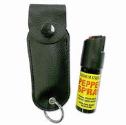 Image result for Pepper Spray Keychain