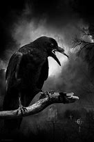 Image result for Gothic Art Dark Crow