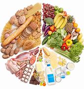 Image result for alimenticip