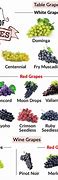 Image result for Types of Grape Vines
