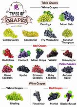 Image result for grapes foods