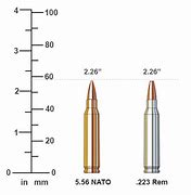 Image result for 223 vs 5.56 NATO Ammo