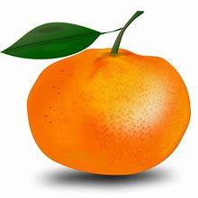 Image result for Orange Invisible Background