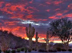 Image result for Arizona Christmas Images Free