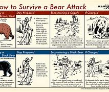 Image result for Mauled Bear Book