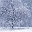 Image result for Winter Screensavers with Falling Snow