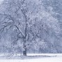 Image result for Windows 95 Screensaver with Snow Falling