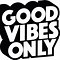 Image result for Good Vibes Goood Life Book with No Background