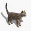 Image result for 3D Cat Desktop