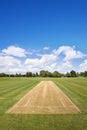 Image result for Cricket Field Set