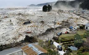 Image result for Tsunami Disaster