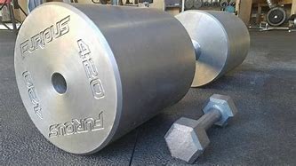 Image result for Heaviest Gym Weights