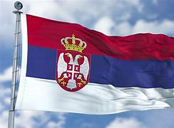 Image result for Serbia Bandera