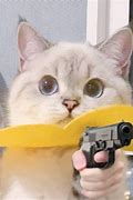 Image result for Sad Cat Gun Meme