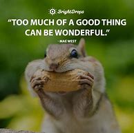 Image result for Funny Quotes About Being Positive