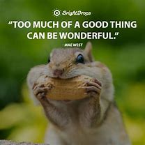 Image result for Funny Quotes About Being Awesome