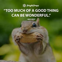Image result for Funny Quotes A4