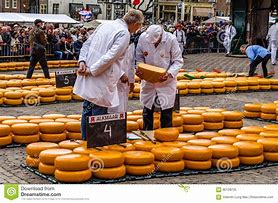 Image result for Netherlands Chhese Farm