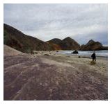 Image result for Purple Beach Big Sur