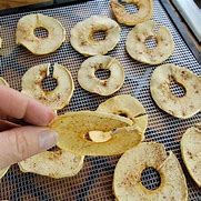 Image result for Cinnamon-Sugar Dehydrated Apples