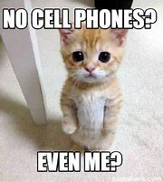 Image result for No Cell Phones at Work Meme