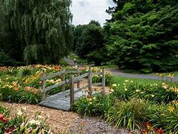 Image result for Cutler Botanic Garden