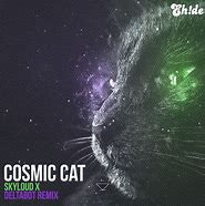 Image result for Cosmic Cat Band