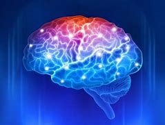 Image result for Memory Part of Brain