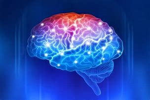 Image result for Memory Brain Cells