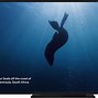 Image result for Images of Apple TV with Screen Protector and Scribble On It
