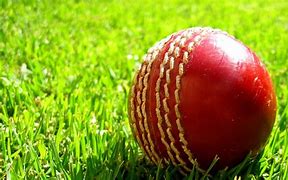 Image result for Cricket Players