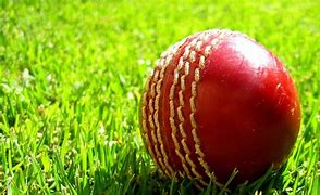 Image result for Cricket Ground