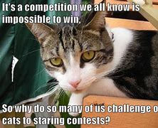 Image result for Want to Win Competition Meme