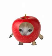 Image result for Hey Apple What Meme