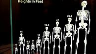 Image result for 14 Meters Tall